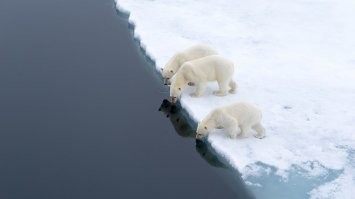 Ну мы вчера дали!