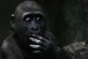 Безумный Cadillac Escalade «Lowrider» 2021 года с 30-дюймовыми колесами