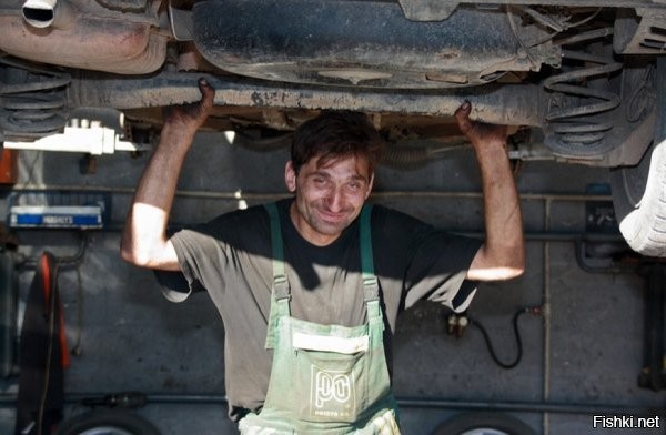 Демотиваторы: легкие, забавные, антидепрессивные 