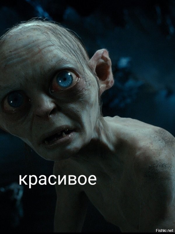 Солянка от 26.10.2021