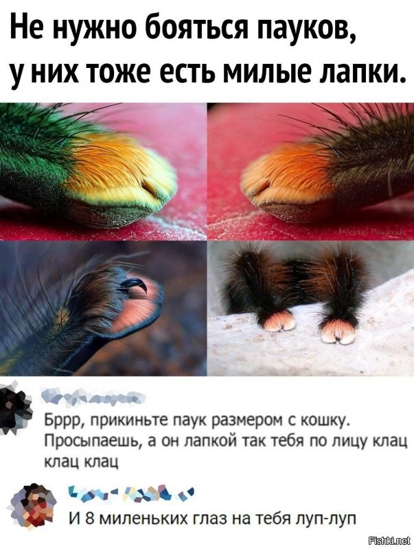 Солянка от 26.10.2021