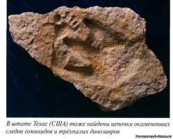 Стегозавр на стене древнего камбоджийского храма