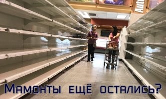 Мамонты вымерли не из-за того, что на них охотились, и теперь это доказано