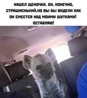 Вообще-то гиена приручаема не хуже шакала, а значит не хуже восточноевропейской дворняги, которая к шакалу вернулась в годах 70х. 

И да, современные собаки происходят не от волка, а от южноевропейского шакала. И обратное смешение ген разных пород ведёт снова... К шакалу. 

И шакал, кстати, не падальщик, а отличный охотник на мелкую дичь, как и лисы. Ну и другое погрызть тоже не против. Даже ягоды.