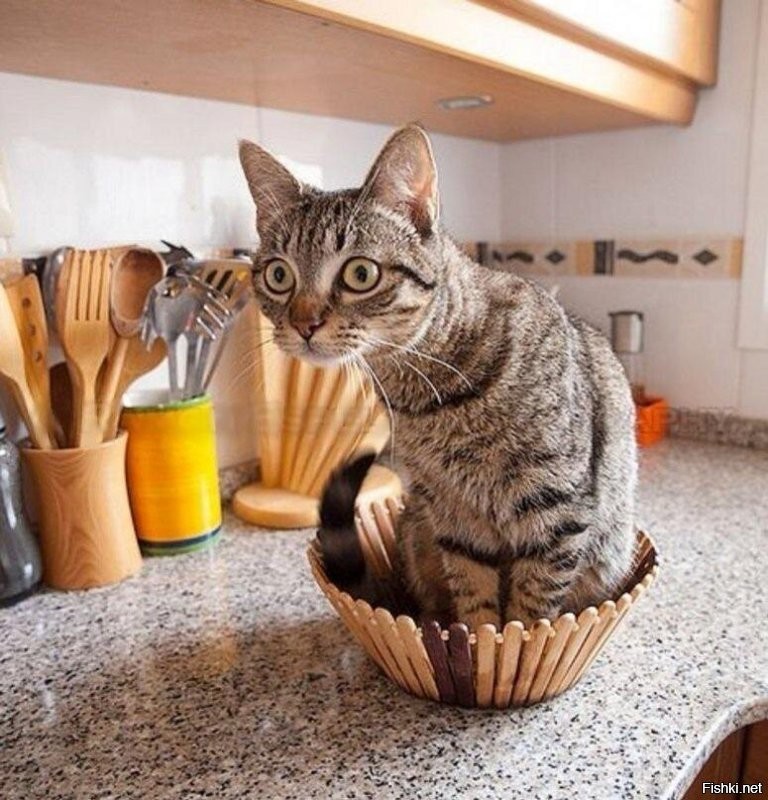 А что , так можно было ..?