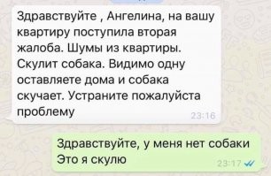 Пёс знает, как остановить детский плач, но и матери, и соседям от этого не легче