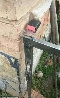 до первого дождя, и пиьда пружине