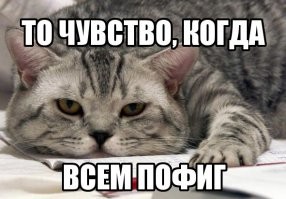 Российская туристка рассказала о давке и очередях в аэропорту Египта