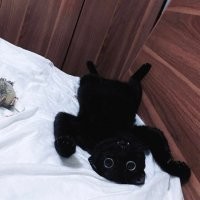 Кто сражается с чудовищами, тому следует остерегаться, чтобы самому при этом не стать чудовищем. И если ты долго смотришь в бездну, то бездна тоже смотрит в тебя.“