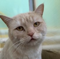 Вчера бухали с котонами