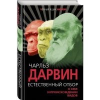 Не надо им мешать.