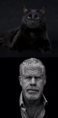 На позитиве