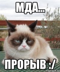 Расписанная под хохлому ракета успешно стартовала с космодрома Байконур