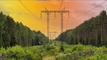 В лесу обычно такие, не заколебался рубить? Если деревянные столбы то это возле дороги, как он тогда мог заблудится?