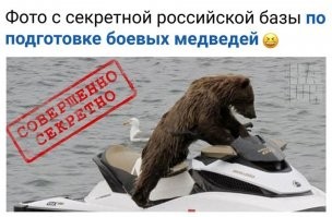 Чем занимается боевая чайка? шпион или инструктор?