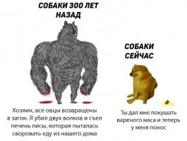 Крокодилица 70 лет прожила в пруду при храме и полностью изменила рацион питания