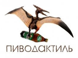 Скрины из соцсетей