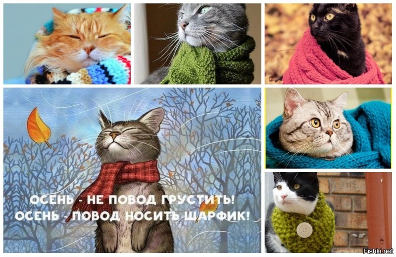 Солянка от 29.10.2021