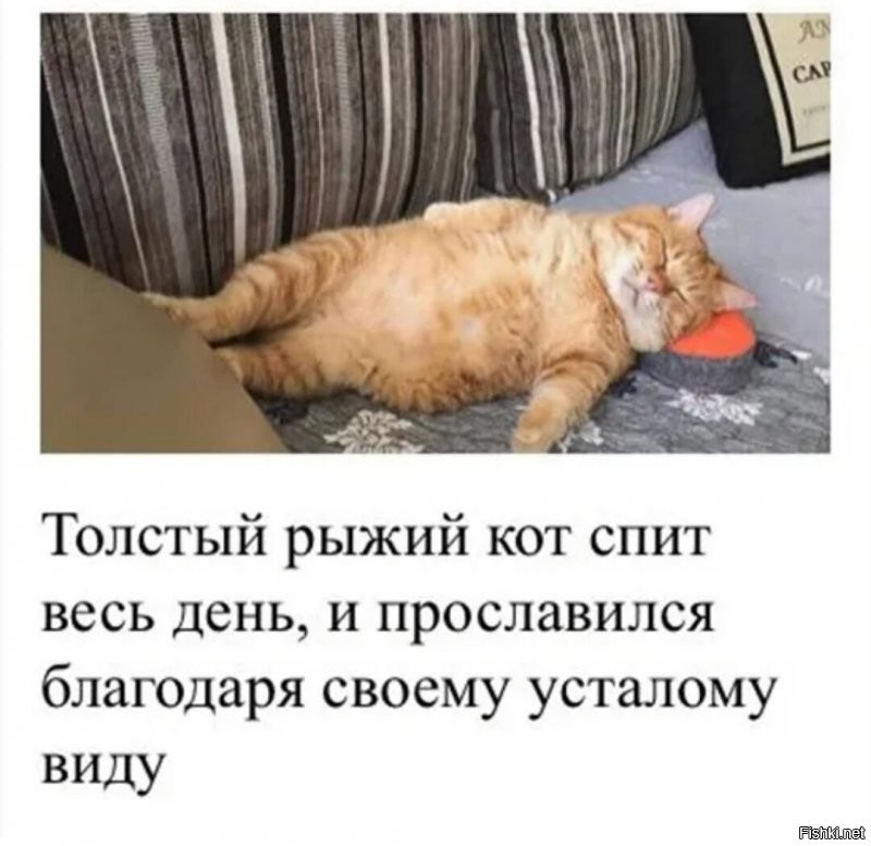 Солянка от 29.10.2021