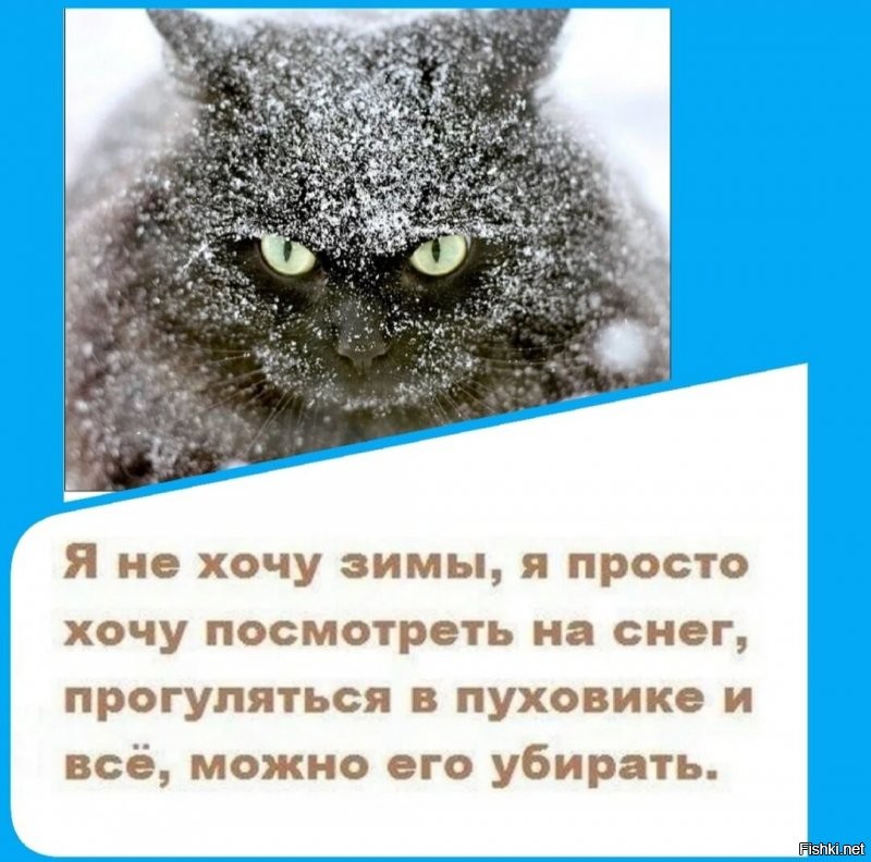 Солянка от 29.10.2021