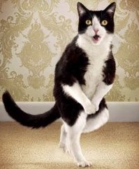 I'm sorry, а "пи-пи" куда?