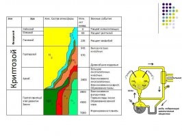 "Всем известно высказывание о том, что леса - это лёгкие нашей планеты.

Болота - легкие планеты. Либо леса, которые произрастают в воде, там где ствол упав в воду, не гниёт, а уходит в илистое дно тем самым консервируя углерод, который накопился за время его жизни в стволе. В обычном лесу - дерево падает и гниёт, отдавая углерод обратно,  затрачивая кислород на окислительные процессы. Так что с точки зрения баланса - лес особо ничего не вырабатывает и не очищает, а существует сам по себе. А вот там где на рост чего-то тратится углерод, который потом самозахоранивается в грунт, чтоб через миллионы лет стать углём или нефтью - то да, можно считать лёгкими планеты.
Но это для нас, для человеков. Так то отношение кислорода к углероду - не постоянная величина для нашей планеты, раньше например были времена когда кислорода было почти в 2 раза больше, что позволяло  водиться крупным насекомым, которых сейчас нет.. А бывало и так, что углекислого газа в атмосфере - было навалом, так что случались массовые вымирания органики на планете (предположительно из-за активного вулканизма).
В  общем мы сейчас много чего палим из полезных горючих ископаемых, а  это много углерода, что по-тиху будет разогревать атмосферу нашего глобуса, и чтоб через десятки тысяч лет не превратиться в Венеру, надо чёт придумывать.. И на данный момент, самый простой, дешёвый и  эффективный способ - это заболоченные места. Там и растёт  хорошо и разлагается плохо, а  значит всё плохое и грязное  уходит вглубь и консервируется, под давлением пластов и времени превращаясь в ископаемые.