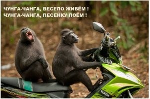 Страх и ненависть в Новороссийске: целая толпа народа пыталась расцепить дерущихся водил