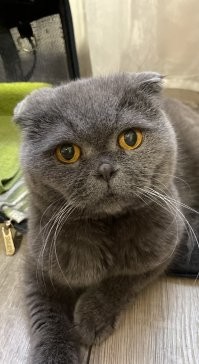 А вот мой 12 лет назад и сейчас