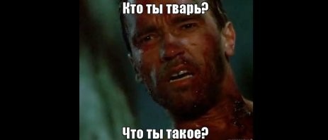 Из-под стражи освобождена модель, убившая в Петербурге мужа