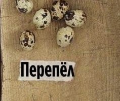 Виды окопов очень полезны для расширения кругозора. 
А перепЁл - это ккая-то новая птица?