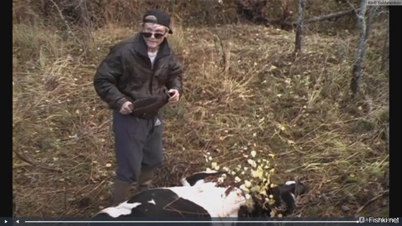- И что делать?
- рога для начала спили...))))