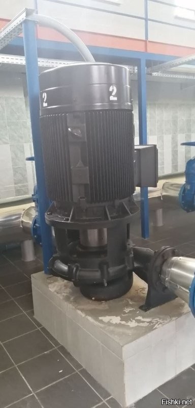 Ну... такое;) "Педагог" не права, увы, в том, что начала оскорблять детей, сравнения там всякие нехорошие... Будь она настоящим педагогом, то знала и умела бы использовать методы, которые вполне работаю без вот таких вот наездов. За 15+ лет работы в различных образовательных учреждениях (школы, колледж, немного универа, частная школа на данный момент) ни разу не повышал голос на детей даже. Не говоря уже об оскорблениях или рукоприкладстве. С родителями вот приходилось, да, на повышенных тонах разговаривать (да и не только разговаривать). Ну не сделали домашку... И? Я, как педагог, разберусь почему, объясню еще раз-другой-третий, ибо в 99% это тупо непонимание, а не желание ее не делать. Более того, всегда есть альтернативные методы для обучения! На прошлой неделе удалось организовать для некоторых экскурсию в горводоканал (ну им было не интересны темы от слова совсем, а после - выраженная заинтересованность!). Да, нужно делать так, чтобы было интересно! Я ни разу не хочу сказать, что я какой-то там супер педагог, но я таки пытаюсь использовать все доступные мне ресурсы, чтобы заинтересовать детей... И это приносит результаты: кому-то видосик интересный показать, кому-то дать возможность интересный опыт провести, кому-то вот такая экскурсия нужна... не понимаю, что мешает так же делать другим педагогам вместо оскорблений?...