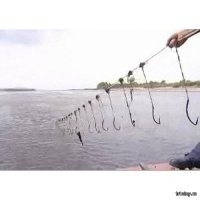 Но наибольшую опасность они представляют, когда сети просто забывают вытащить, и долгое время они служат причиной гибели рыбы. Также запрещено использовать остроги, поскольку после них остается слишком много раненой рыбы
------------------------------------------
Осетровых ловят самоловами,  они по сути - сомики и по дну плавают,   вот их (самоловы) 
 постоянно теряют,  ибо поплавков не оставляют,  чтобы рыбнадзор не впалил,  а тупо по памяти ставят.  Обычно бухие в дугу,  а потом тупо кошкой пытаются найти.
