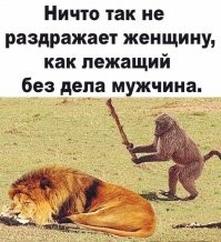 Смешные и познавательные картинки