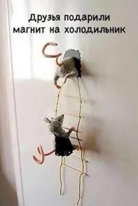 Скрины из соцсетей