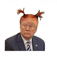 30 трагедий в парикмахерской