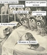 Автобус с туристами перевернулся в Анталии. Пострадали 9 российских туристов