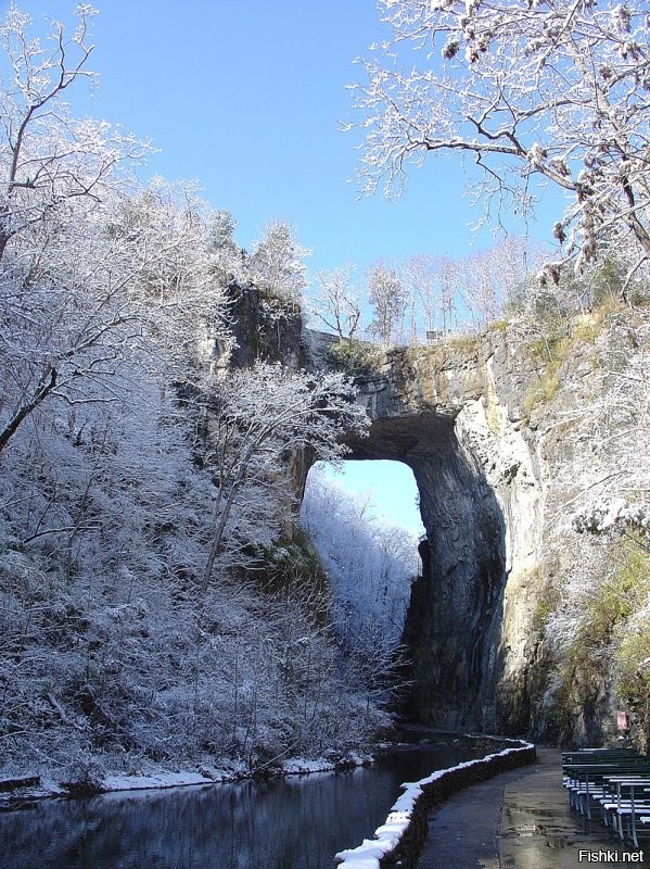 Есть такой.
Естественный мост (англ. Natural Bridge)   национальный исторический памятник в округе Рокбридж штата Виргиния, США.