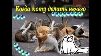 Крутые костюмы на Хэллоуин от обычных интернет-пользователей