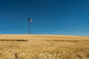 Вот эти штуки, кстати, не мельницы, а водокачки. Внизу - скважина.