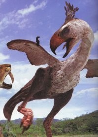 В доисторический период водилось много видов больших птичек. Например, Фороракос или Leptoptilos falconeri или Аргентавис или Pelagornis sandersi... Кто-то мог и дожить где-нибудь в глух джунглях когда там появились индейцы наска.
Согласитесь, что птичка 3-6 метров высотой произвела бы на человека неизгладимое впечатление.