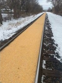 Так а это что? Зерно, просыпавшееся из вагона? Если даёте фото в анонсе, расшифровывайте его!