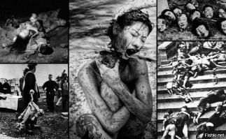 Теперь и у себя дома. В добрый путь, самурай.