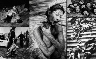 Не знаю что они там жрут,но в башке у них точно каки.