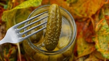 Фотографии удивительных находок и странных созданий природы