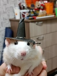 А мы не стали заморачиваться с резьбой и наклеили бумажную рожицу + гирлянда с Али. Ну и воришка Джек свой имеется. 
"Семейка Аддамсов" и "страшные" настолки с детьми ))