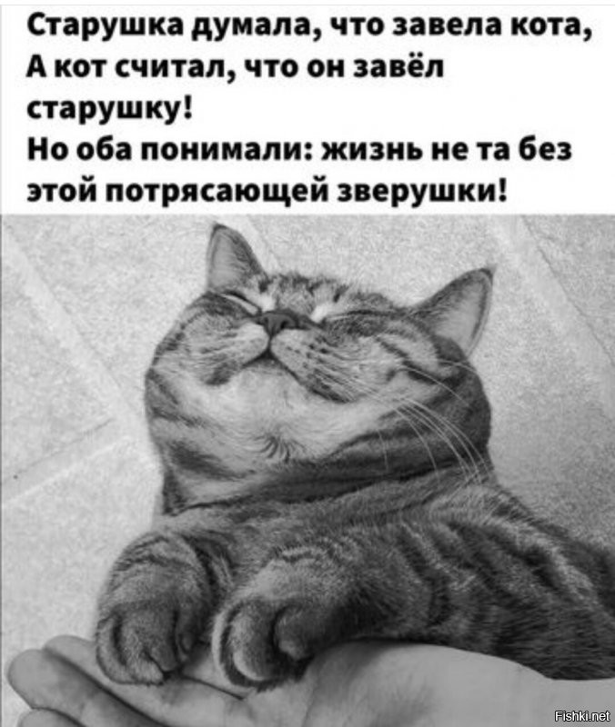 Доброе утро ) Удачной недели 