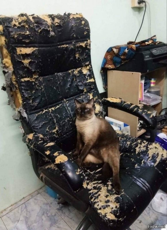 Согласен