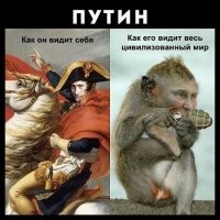 Президент Путин об американском корабле в Чёрном море: «Мы можем посмотреть на него не только в бинокль, но и в прицел