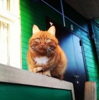 Москва, Россия